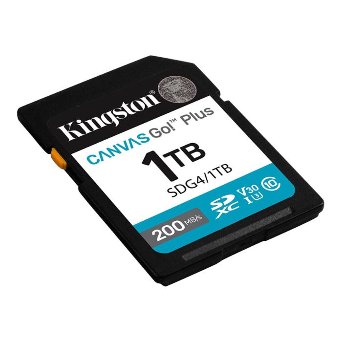 Карта пам'яті SDXC (UHS-1 U3) Kingston Canvas Go! Plus 1Tb class 10 A2 V30 (R200MB/s, W160MB/s) (SDG4/1TB)