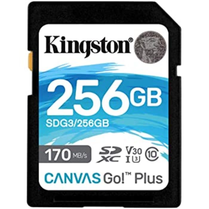 Карта пам'яті SDXC (UHS-1 U3) Kingston Canvas Go Plus 256Gb class 10 V30 (R170MB/s, W90MB/s) (SDG3/256GB)