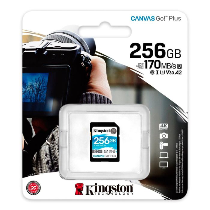 Карта пам'яті SDXC (UHS-1 U3) Kingston Canvas Go Plus 256Gb class 10 V30 (R170MB/s, W90MB/s) (SDG3/256GB)