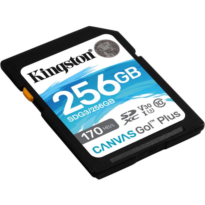 Карта пам'яті SDXC (UHS-1 U3) Kingston Canvas Go Plus 256Gb class 10 V30 (R170MB/s, W90MB/s) (SDG3/256GB)